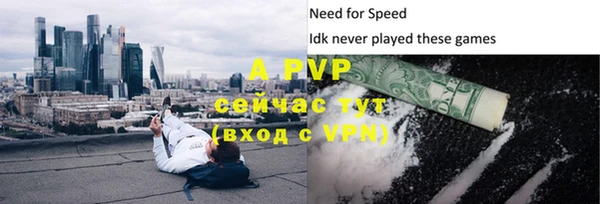 амф Грязовец