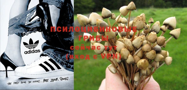 наркотики Протвино