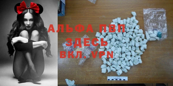 стафф Приозерск