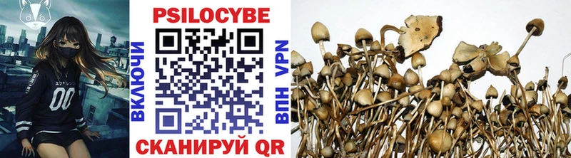 Галлюциногенные грибы Psilocybe  Торжок 